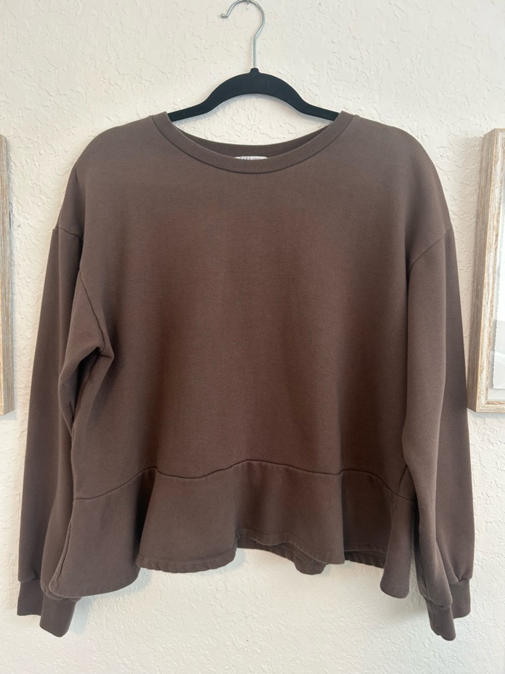 Zara Chocolate Brown Crewneck Sweatshirt